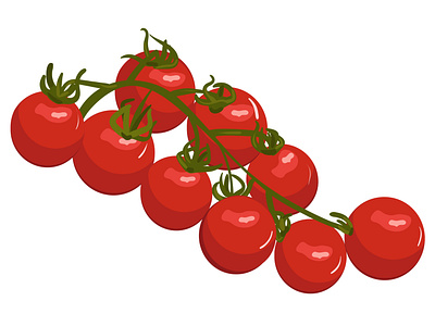 Tomatoes on a branch. Vector illustration