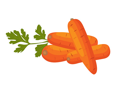 Carrot, Vector illustraion bunch