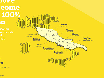 Illustration for Grano Armando color editorial grain illustration infographic italy pasta