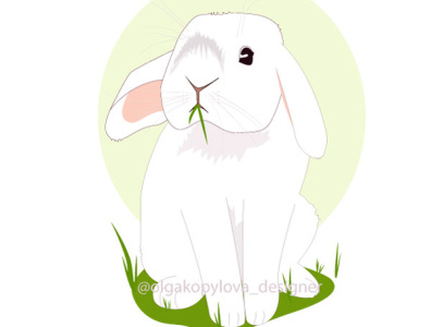White rabbit on the grass animals art cute design easter flat grass illustration illustrator minimal pets rabbit vector white