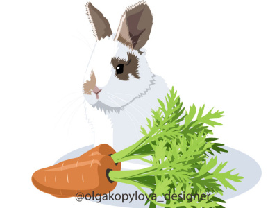 A cute fluffy rabbit sits next to a carrot. Pets. Modern vector art bunny carrot cute design flat illustration illustrator minimal pets rabbit style vector