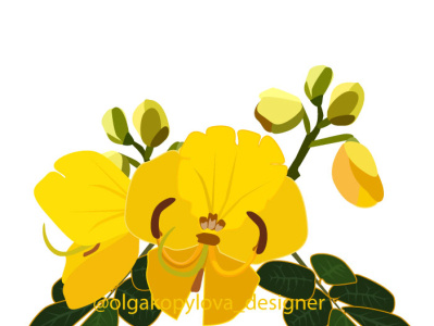 The flower is a beautiful yellow Cassia fistula art design flat flower illustration illustrator logo plant style tree vector yellow