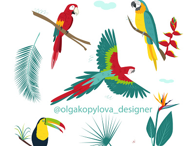 Collection of colorful tropical parrots with plants bird design exotic flat flower illustration illustrator minimal parrot set tropical tropical leaves vector