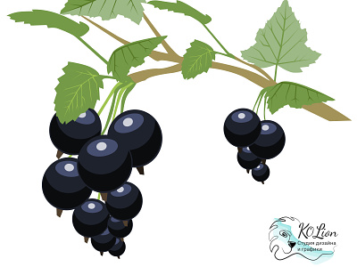 Black currant is a source of vitamin C art berry design flat food illustration illustrator style vector