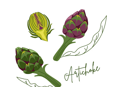 Artichoke is an unusual green vegetable