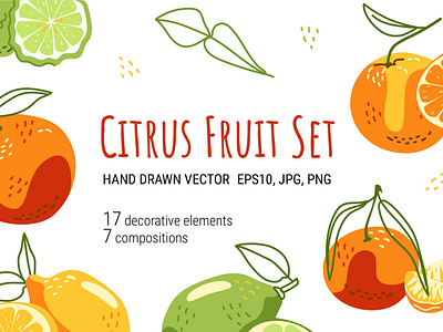 Citrus Fruit Set. Hand drawn vector clipart