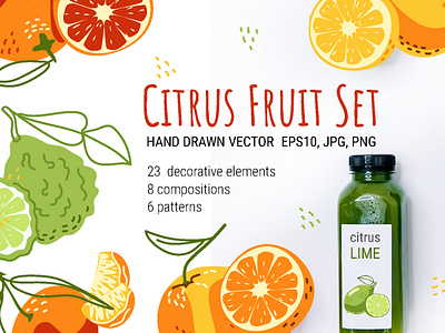 Citrus Fruits Set