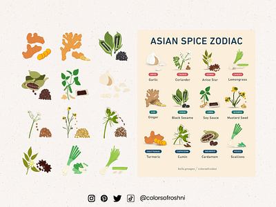 Colors of Roshni x Hello Prosper - Asian Spice Zodiac adobe adobe fresco art design illustration social media south asian south asian spices spices vector zodiac zodiac signs
