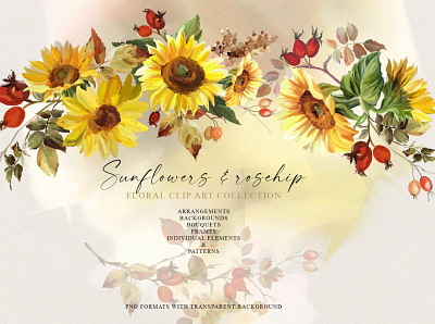 Sunflowers & rosehip bouquet clipart design drawing fall illustration thanksgiving vintage