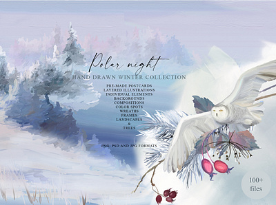 Polar night - winter collection texture