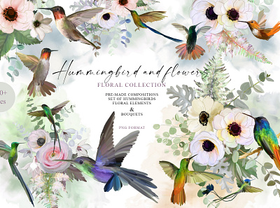 Hummingbird and flowers anemone