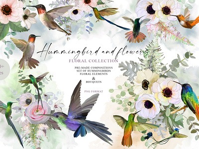 Hummingbird and flowers