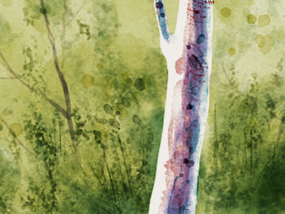 Birch - Digital Watercolor Painting drawing illustration paint painting photoshop watercolor