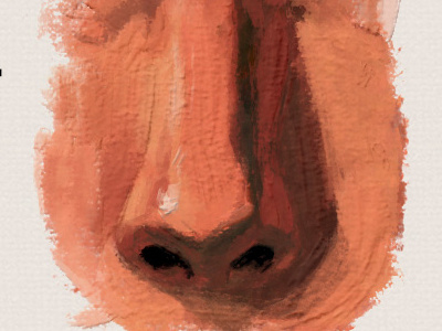 Impasto Nose brush brushes digital drawing illustration impasto photoshop