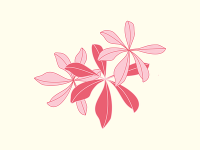 Flowers 🌸 design icon illustration logo vector