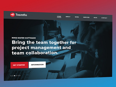 Teamflo - Landing Page application design interactive design landing page web design