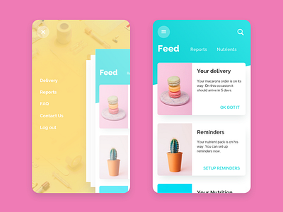 Nutrition Delivery UI