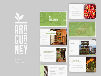 Araguaney Sales Brochure branding branding and identity branding design brochure brochure design brochure layout design idenitity layout logo design presentation