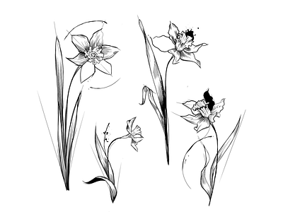 Flowers Caos