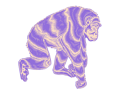 Chimp chimp chimpanzee illustration monkey poster screenprint