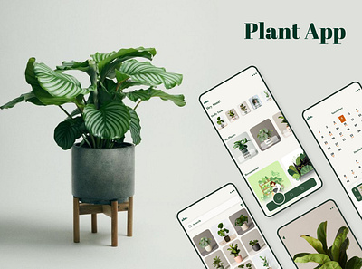 Plant app app design graphic design illustration logo ui ux