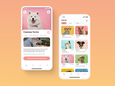 Animal shelter app app branding design logo typography ui ux vector