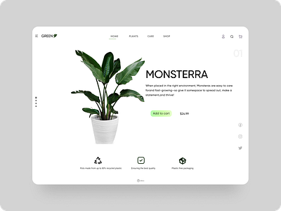 Plant Shop Website Concept