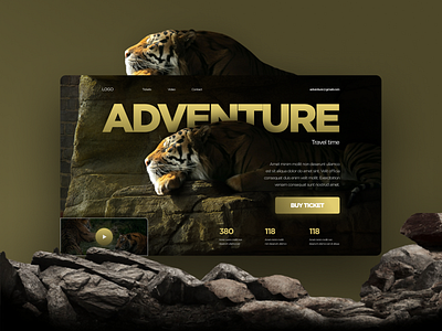 Y&G - Concept Adventure adventure animals lions tiger tourism tours web website