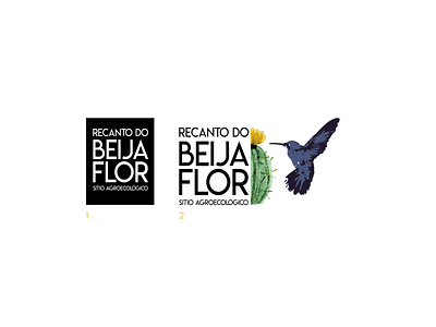 Logo - Sítio Beija-Flor branding design graphic design identidade visual logo social media