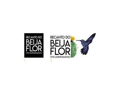 Logo - Sítio Beija-Flor