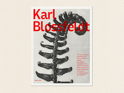 Blossfeldt | Grid study design grid photoshop poster poster design