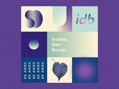 80 anos do Instituto Dom Barreto branding design identidade visual photoshop