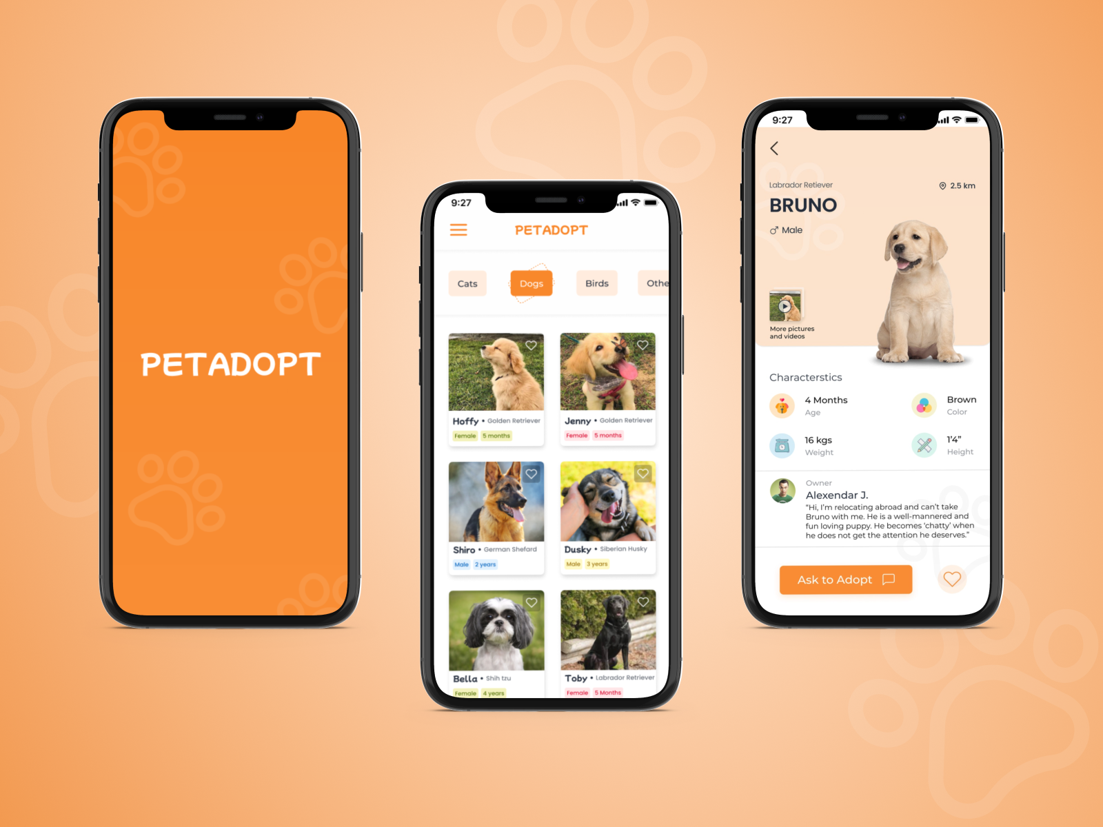 Pet Adoption Screen Concept App by Saumya Sharma on Dribbble