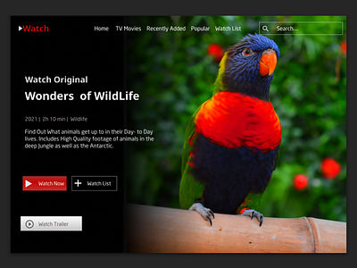 Watch Website Design Inspired By Netflix Layout branding design graphic design logo photos ui web web design website