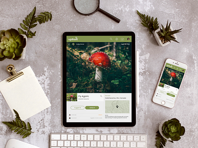 upRoot - Nature & Exploration App