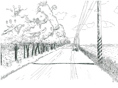 Country Road illustration