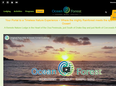 OceanForest org branding design illustration illustrator logo type ui ux web website