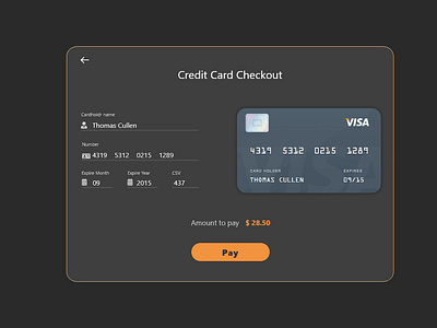 Credit card checkout dailyui design typography ui ux web website