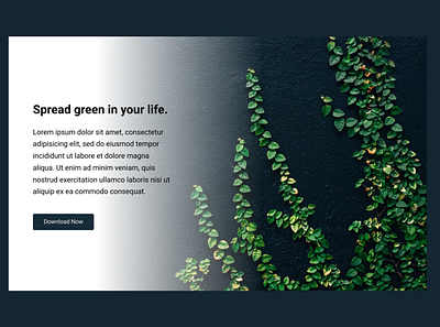 Greenery design landing page design landingpage web