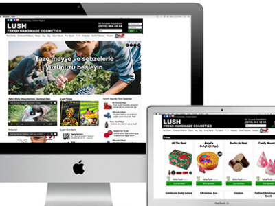Lush Turkey website development ecommerce front end development php website design