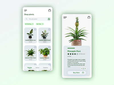 Plant Shop UI Design by Naomi Grant on Dribbble