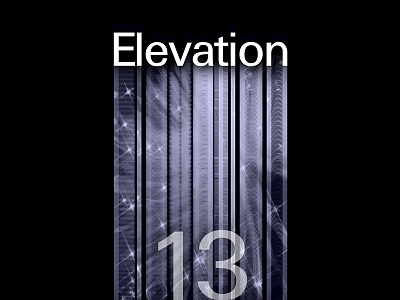 Elevation Conference Branding branding conference elevation logo motivational speaking