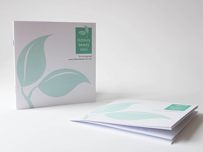 Beauty Clinic Brochure beauty graphic design printing