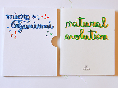 Visual Book_Natural Evolution book cordenons craft handmade illustration natural evolution paper visual book