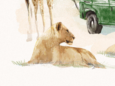 Safari africa animal draw lion safari watercolour