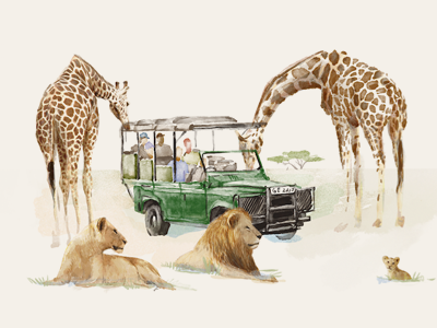 Safari animals draw illustration safari