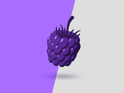 Blackberry 2d to 3d blackberry flat design fruit illustration simple symbol
