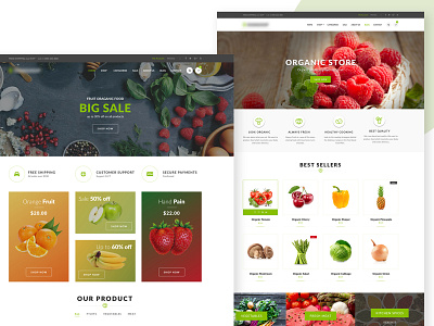 Online Grocery Website Development