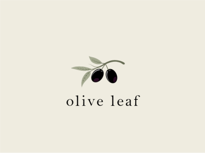 olive leaf branding design graphic design illustrator logo logo design minimalist modern logo photoshop