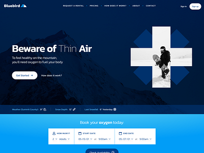 Bluebird Oxygen Homepage branding dark theme web design